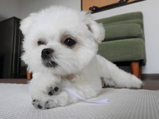 Our Health Guarantee